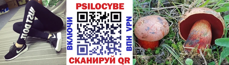 Галлюциногенные грибы Magic Shrooms Медвежьегорск