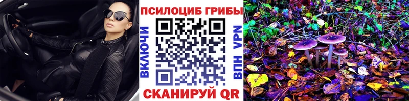 Псилоцибиновые грибы прущие грибы  Медвежьегорск 