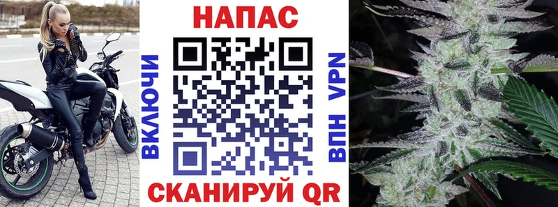 где продают наркотики  Медвежьегорск  OMG маркетплейс  Канабис SATIVA & INDICA 